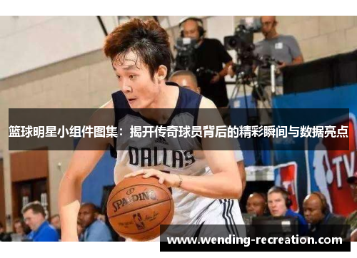篮球明星小组件图集:揭开传奇球员背后的精彩瞬间与数据亮点