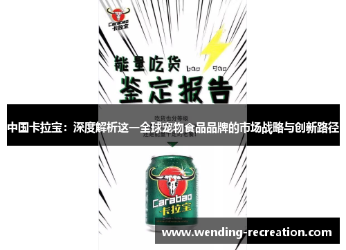 中国卡拉宝:深度解析这一全球宠物食品品牌的市场战略与创新路径
