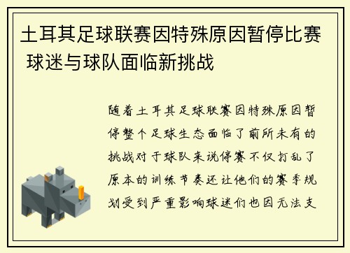 土耳其足球联赛因特殊原因暂停比赛 球迷与球队面临新挑战